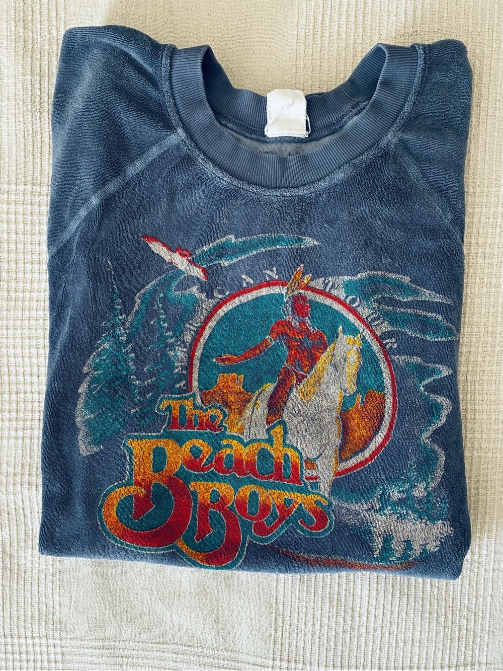 MadeWorn Beach Boys Graphic Terry pullover - Navy with Multicolor Print